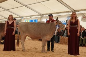 Vize Gesamtchampion OB DOM LEILA